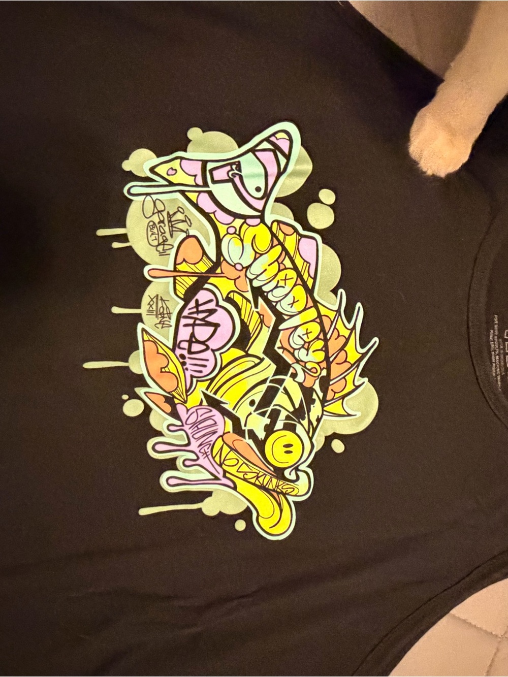 Limited Edition Pizz SwimBaits Vibrant Multicolor Fish Graphic Tank - Black